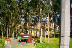 OLYMPUS DIGITAL CAMERA