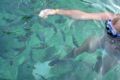 thailand-232